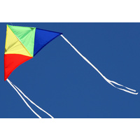 Windspeed Kite Junior Delta - 220