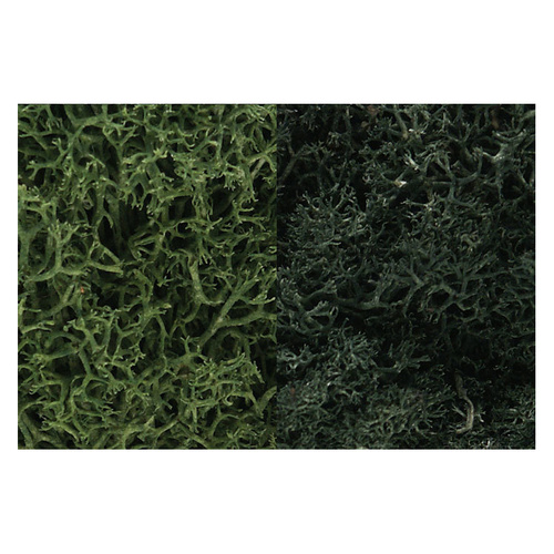 Woodland Scenics L164 Lichen - Dark Green - 162 0164
