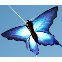 Ocean Breeze Kite Blue Ulysses Butterfly - 7160