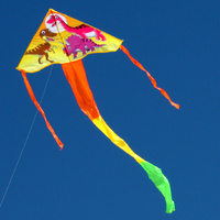 Ocean Breeze Kite Dinosaur Delta - 834