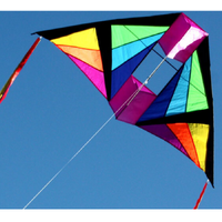 Cell Delta Single String Kite 