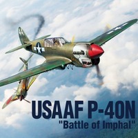Academy 12341 1/48 USAAF P-40N Warhawk "Battle of Imphal" Plastic Model Kit *Aus Decals*