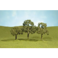 Bachmann 5 Walnut Trees (2) O *