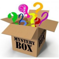 Mystery Plastic Model Box (S)