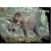 Pegasus 9550 1/24 Triceratops 3 Horned Face Dinosaur