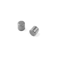XRAY ROLLER PIN 4X4 MM 2 - XY983404