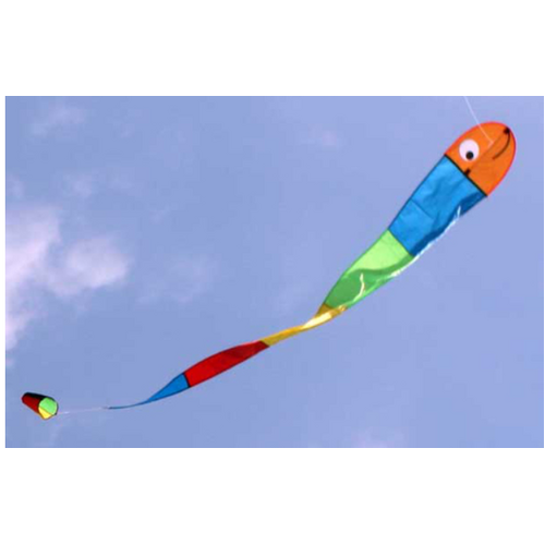 Windspeed Wilma Worm Single String Kids Kite