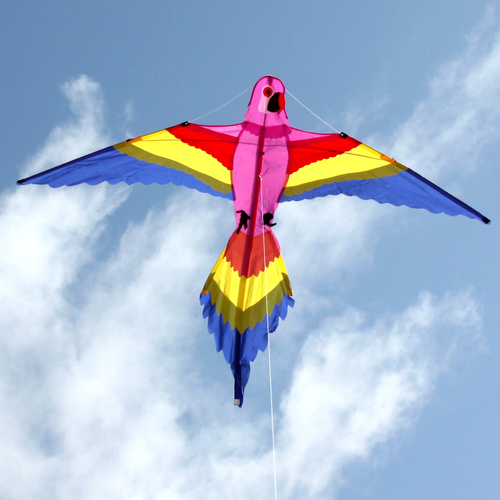 Ocean Breeze Kite Lorikeet - 883