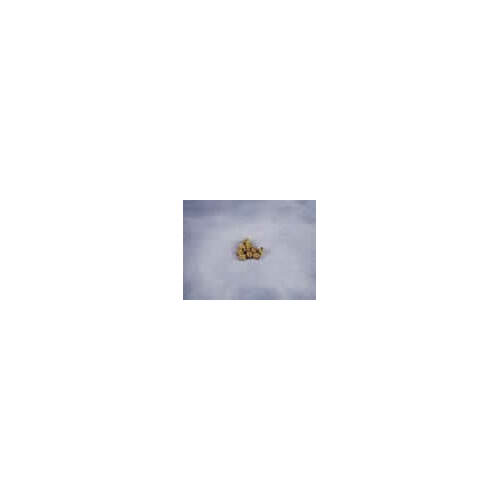 Single Block, 2mm Walnut (10)