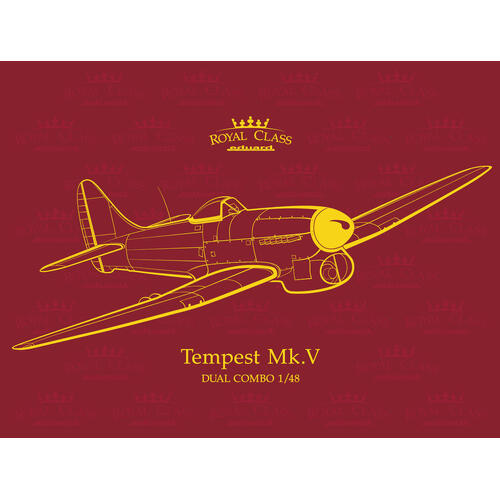 Eduard 1/48 Tempest Mk. V Dual combo plastic model kit