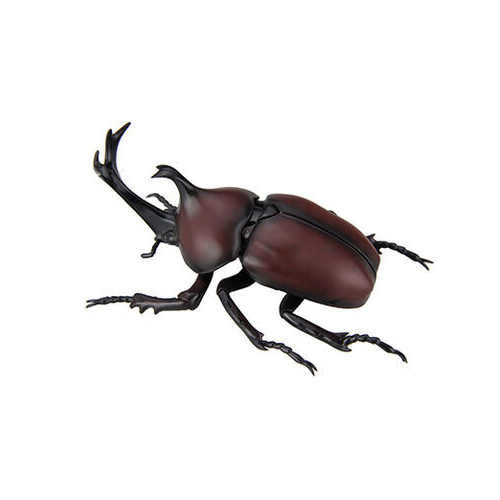 Fujimi Biology Edition Beetle [FI No.21] Plastic Model Kit