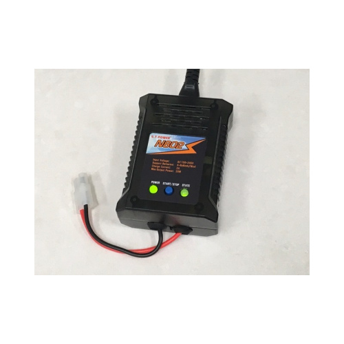 AC W/Tam plug in zip bag 4-8Nimh/Nicad
