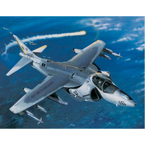 Trumpeter 1/32 AV-8B Night Attack Harrier II